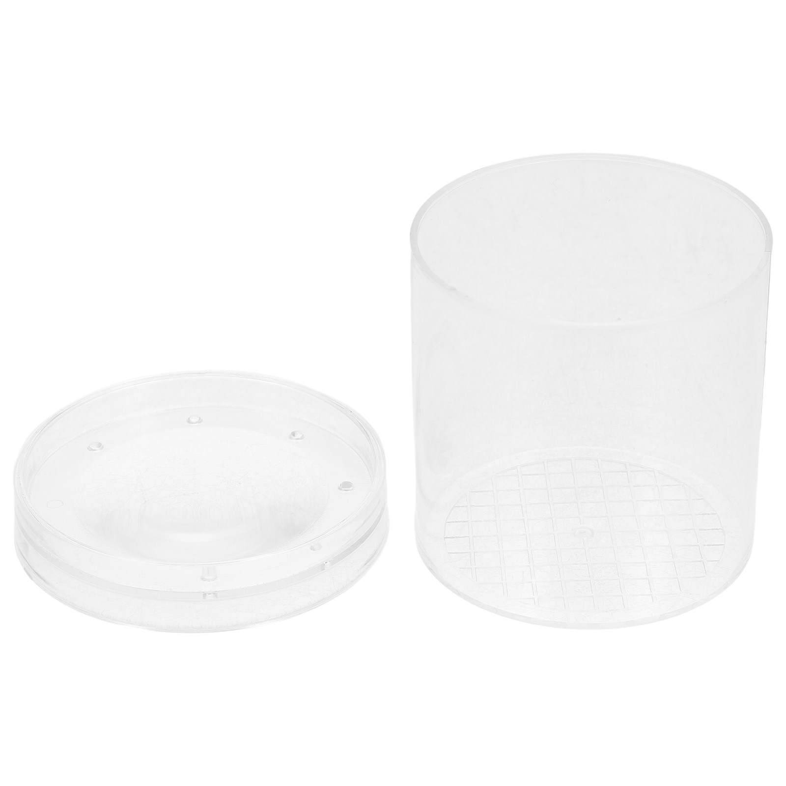 Kids Education Tools - 3X Magnifying Insect Observation Box Kids