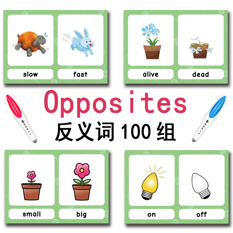 The 100 Groups Opposites Flash - đánh giá và giá English Kids Education