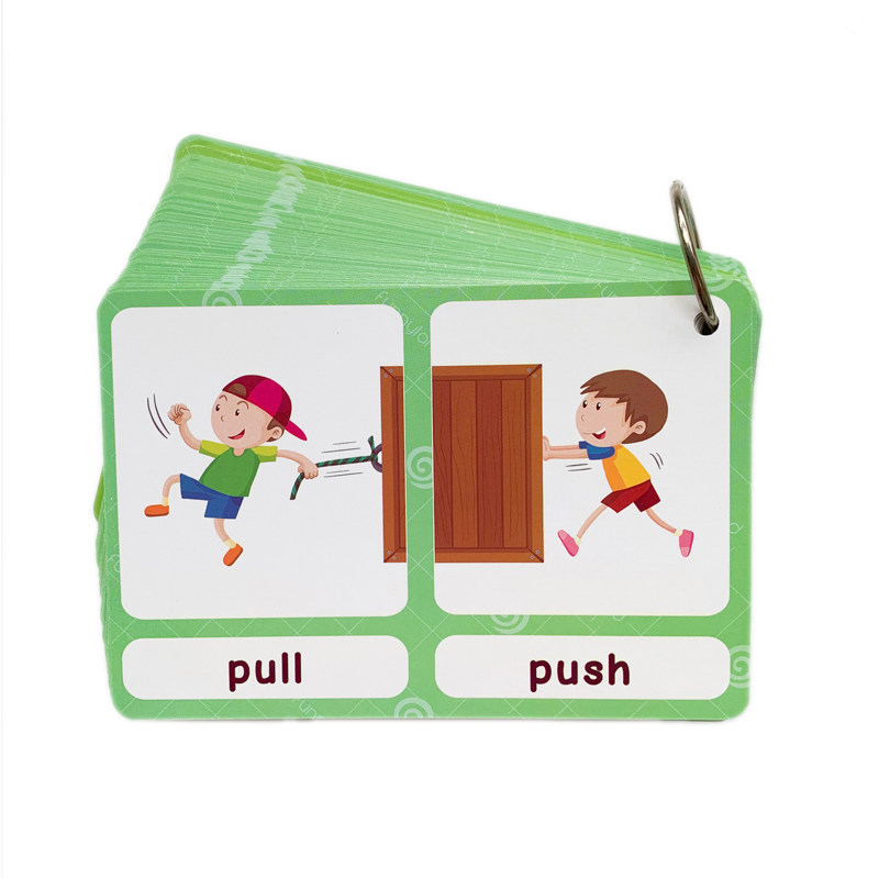 The 100 Groups Opposites Flash - đánh giá và giá English Kids Education
