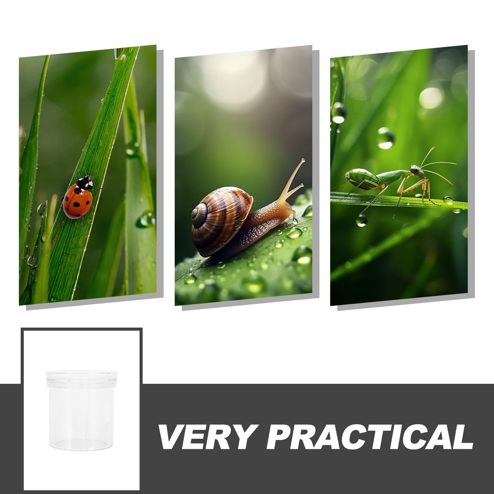 3X Magnifying Insect Observati - đánh giá và giá Kids Education Tools
