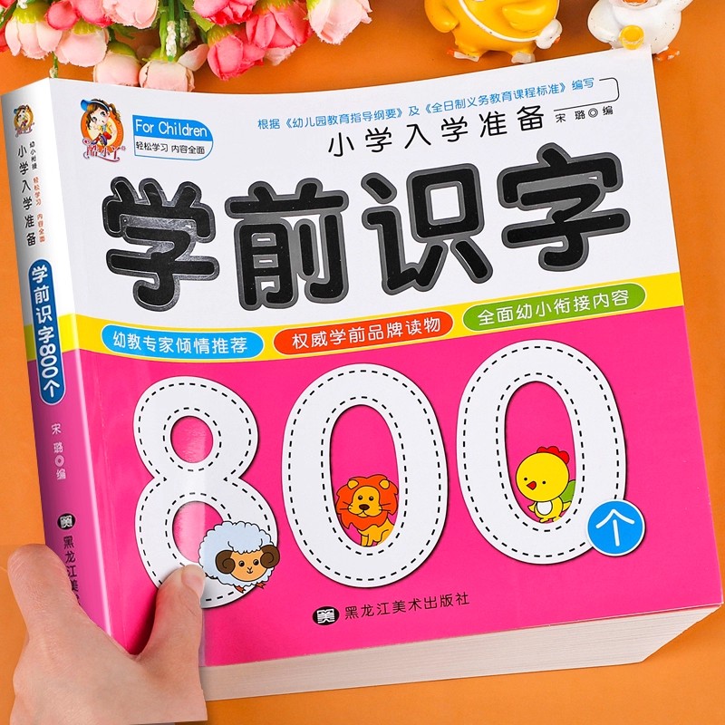 Preschool Literacy: 800 Chines - đánh giá và giá Kids Early Education Books