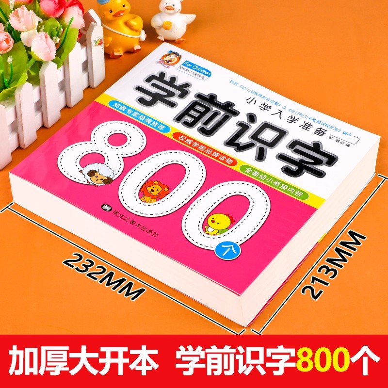 Preschool Literacy: 800 Chines - đánh giá và giá Kids Early Education Books