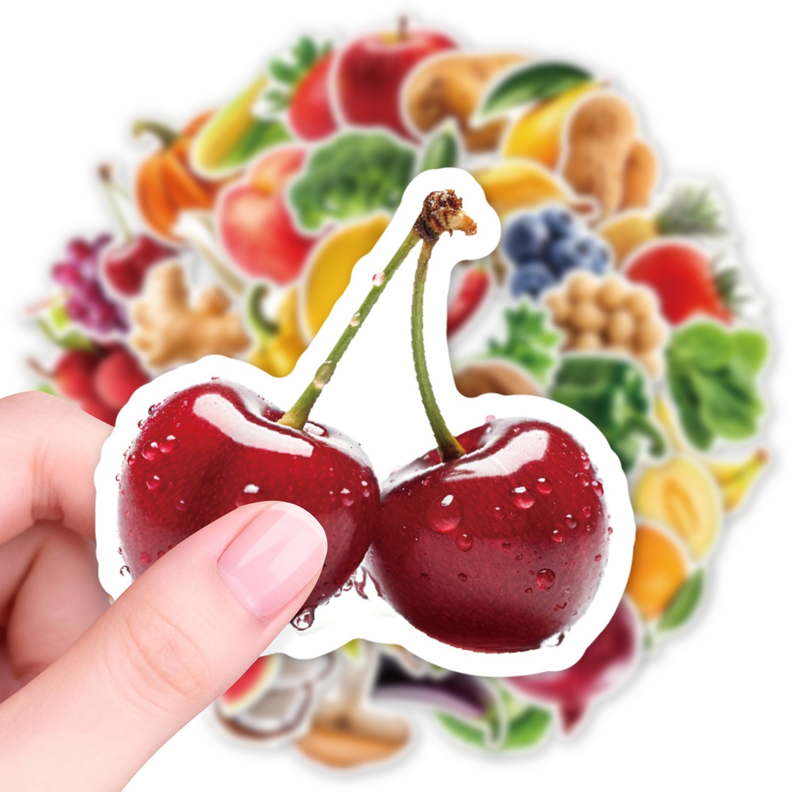 50Pcs Realistic Fruit Vegetabl - đánh giá và giá Kids Education Laptop