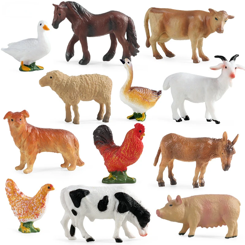 Education Teaching Tool Poultr - đánh giá và giá Kids Education Tools